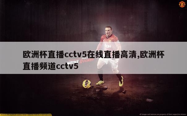 欧洲杯直播cctv5在线直播高清,欧洲杯直播频道cctv5